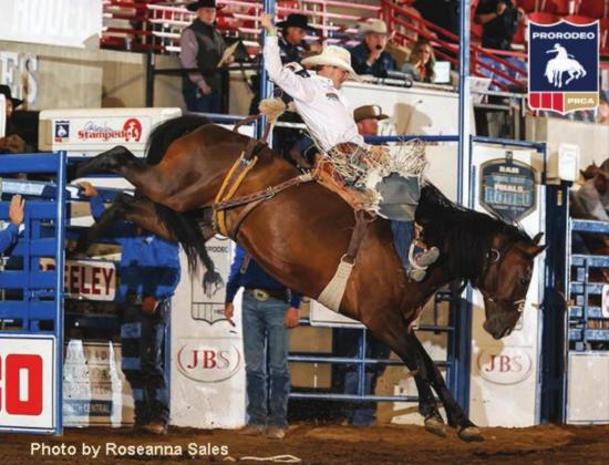 Shorty Garrett has been red hot on the pro rodeo circuit. Photo courtesy of PRCA.com