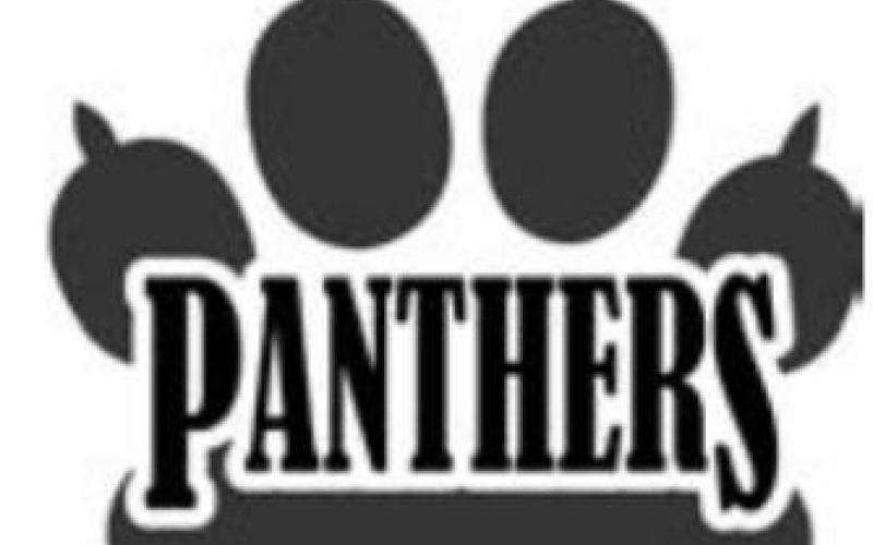 Good Panthers for Novemberat