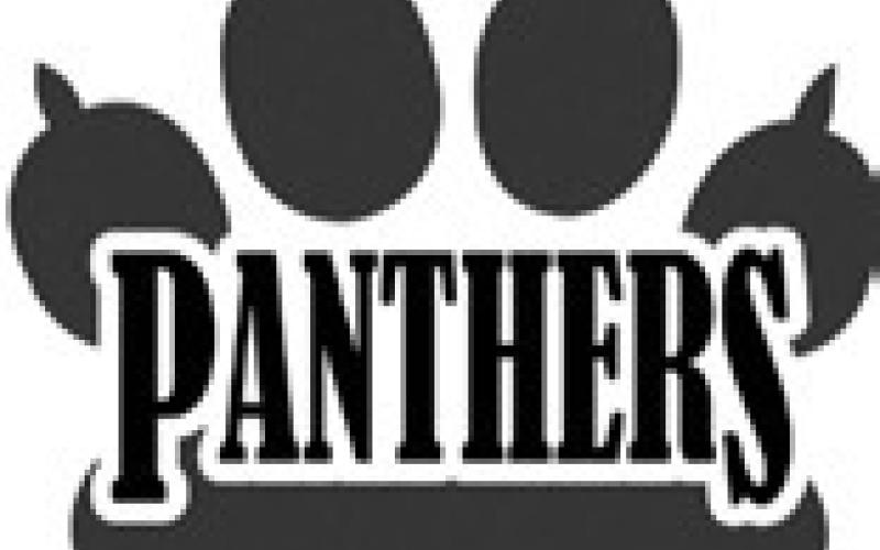 Good Panthers for January