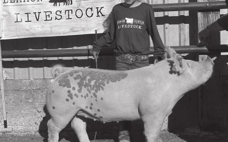 Local 4-Hers participate in Lemmon Jr. Livestock Show