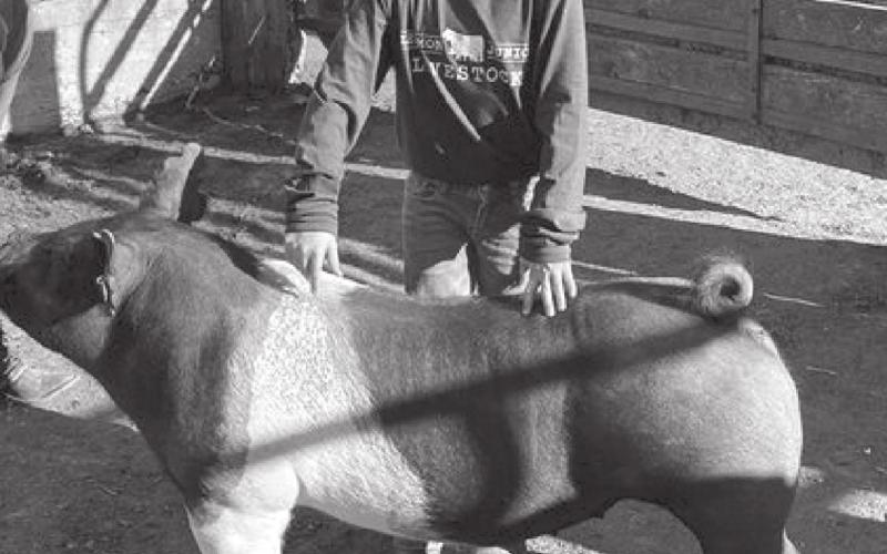 Local 4-Hers participate in Lemmon Jr. Livestock Show