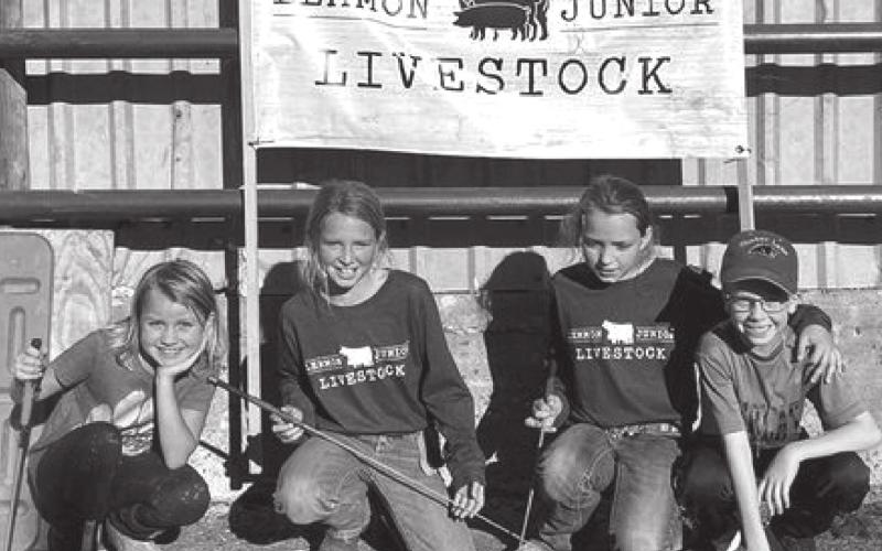 Local 4-Hers participate in Lemmon Jr. Livestock Show