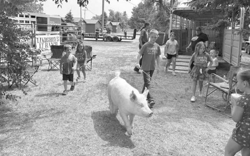 Eli Zeug showing his pig