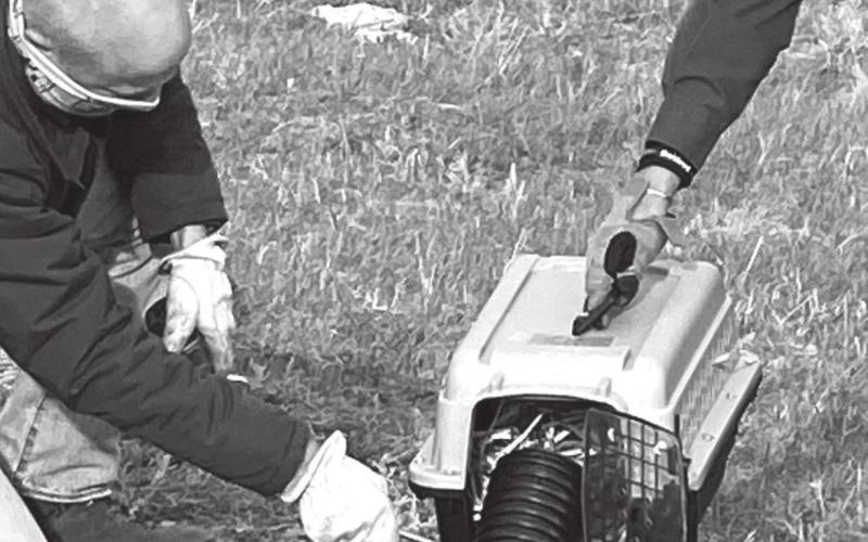 Endangered ferrets released on Standing Rock Reservation