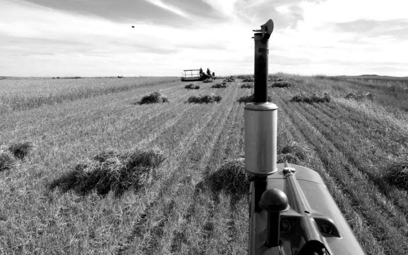 The harvesting machines of yesteryear will be demonstrated at the Coal Springs Threshing Bee and Antique Show September 25-27. This year the spotlight will be on Massey Harris and Massey Ferguson models.