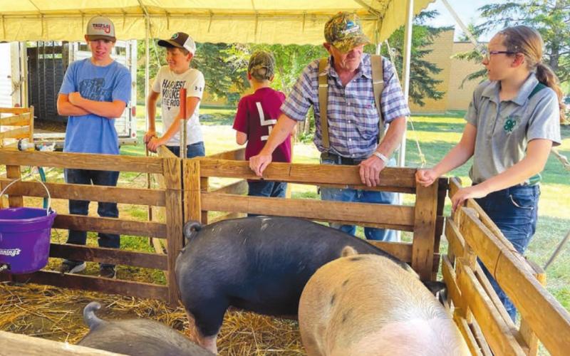 RIGHT: Norman Hieb takes a look at the livestock 4-H members brought to the Achievement Day. At right is Bricelyn Pederson. Dewey County does not have judging for livestock so 4-H members will exhibit at the Corson County Fair in McIntosh on August 13. Photos by Kathy Nelson