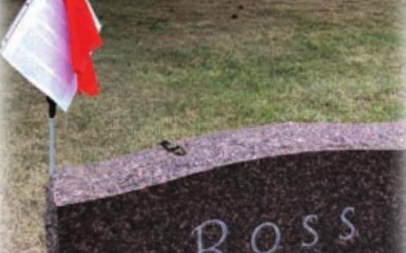 Flags mark sites