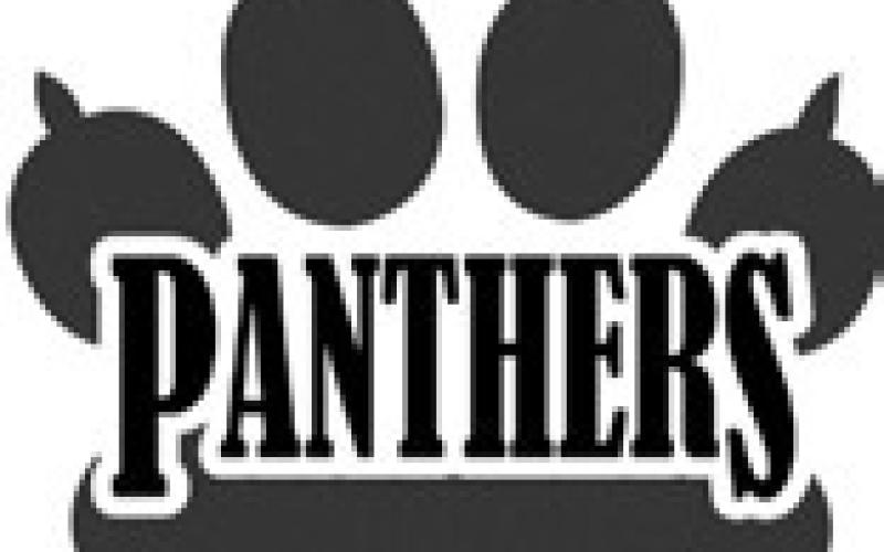 Good Panthers for March
