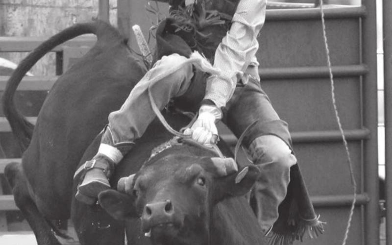 Pete Maher