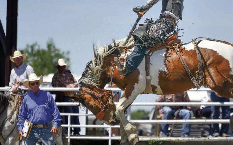 Faith cowboy Cooper Schuelke (right) punched his ticket to the State High School Finals Rodeo with a pair of winning saddle bronc rides at the Northwest Region Rodeo held last weekend in Dupree. Photo by Chuck Miner