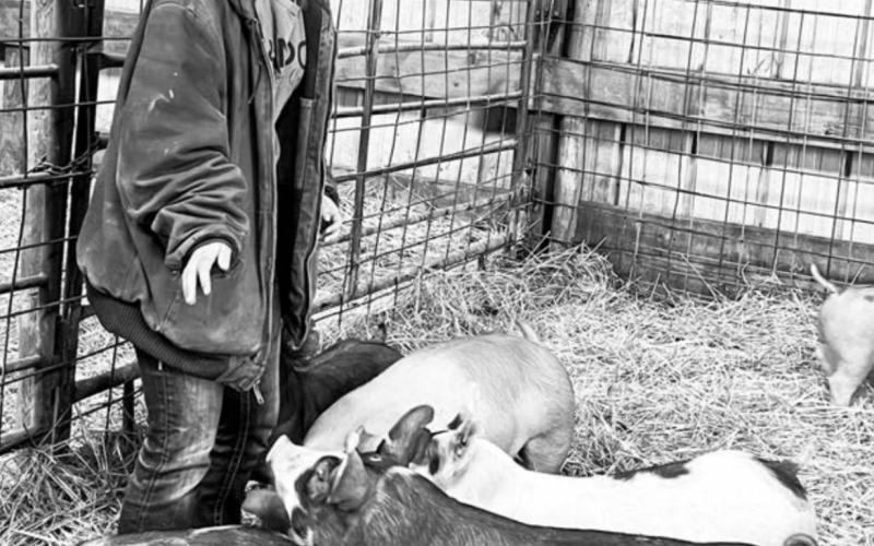 At the Biegler farm “There was always work to be done or new things to experience,” said Manuela.
