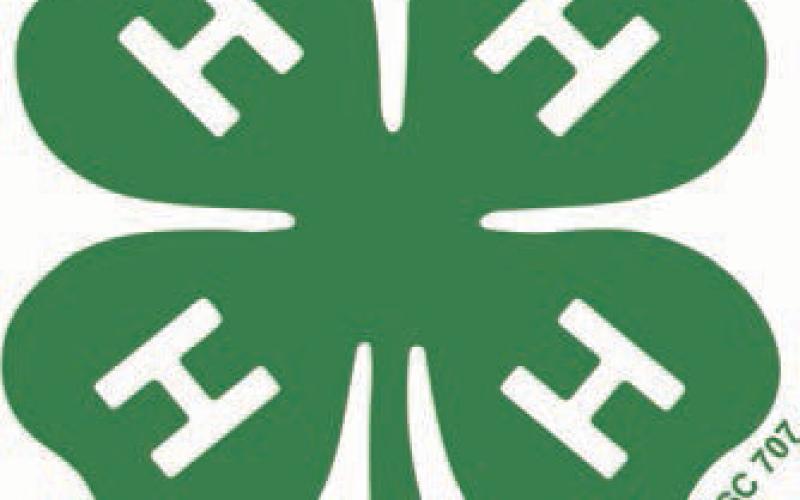 Another great year for Dewey County 4-H!