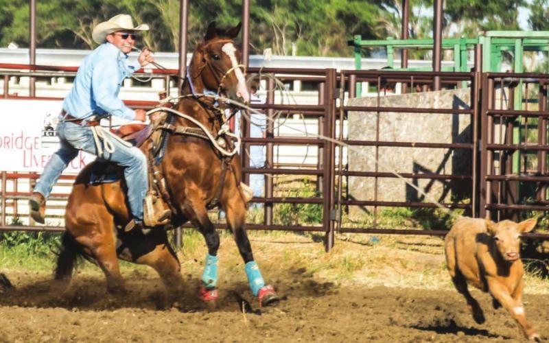 JC Lawrence of Whitehorse follows his rope during the calf roping portion of the Days of 1910 Rodeo in Timber Lake. Lawrence claimed fourth place in the event with a 12.10 second go. Photo by Jon Flatland
