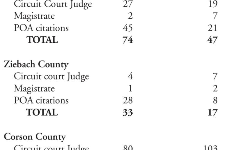 Criminal case summary for 2020