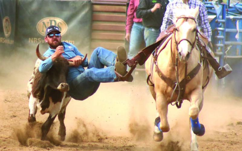 Photo by Jon Flatland Riley Reiss of Killdeer hooks up with a steer during the OK Livestock Steer Wrestling Shootout in Dupree on Saturday, May 25. The shootout came down to a pair of high school cowboys - Tristan Spencer and Trey Bombach - with Bombach coming away with the $10,000 top prize.