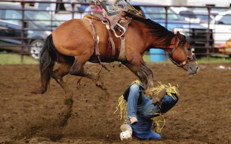 Dupree’s Charg Hebb gave the crowd a scare when he fell awkwardly on his way off his ranch bronc horse Saturday in Timber Lake. Photo by Jon Flatland