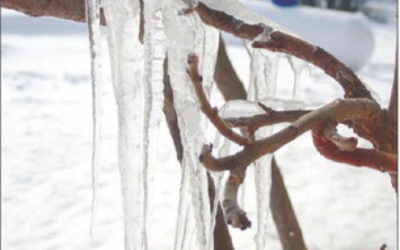 Last week’s severe winter weather ushered in a few days with colder temperatures causing snow to thaw, melt, drip and re-freeze on anything in its path to create unique ice formations. Photo by Jon Flatland