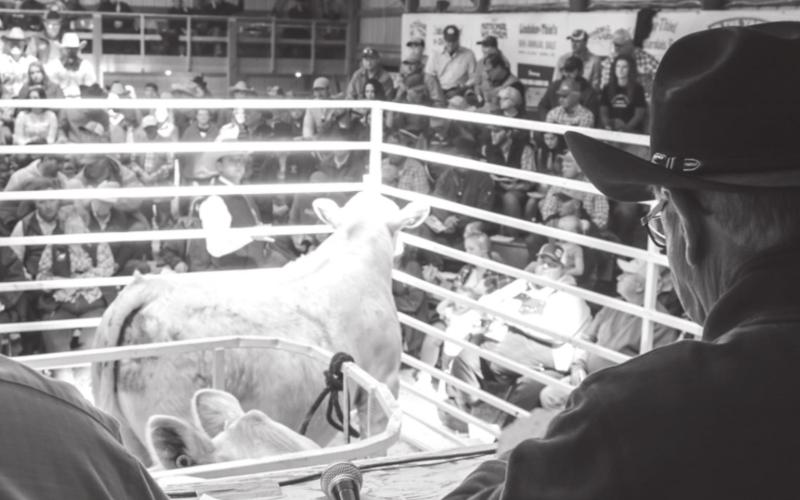 L-T Ranch Sale