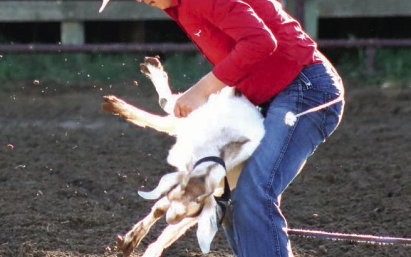 Locals Woodward, Deal among Pioneer Days Rodeo winners