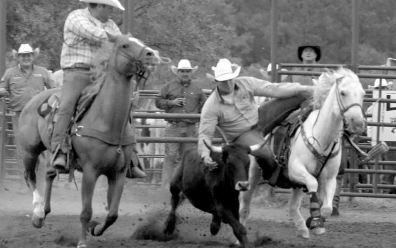 Brent Woodward of Dupree lines up a steer before dismounting during Sunday’s competition.