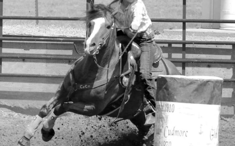 CeCe Cowan of Eagle Butte, one of the up-and-coming young barrel racers in the region, eyes the next barrel while taking a turn during the Days of 1910 Rodeo.
