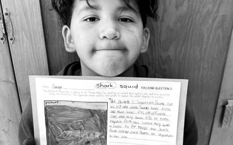 Gage Tiger: “Sharks can help the ocean.”