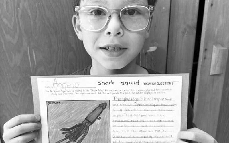 Angelo Jewett: “Giant squid have two long feeding tentacles they shoot out to catch their prey.”