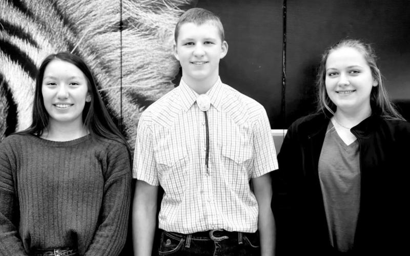 Three earn superiors