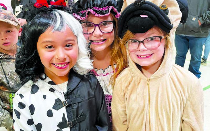 Timber Lake third graders Remi Wiedmer, Sophia Gross, and Stella Nilson were costumed up for the Dewey County 4-H Halloween Carnival on Sunday afternoon. (More Halloween on pages 10 and 20)