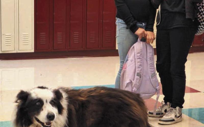 Dupree students were off to a dog-gone great start to the school year when a local dog tried to attend. Sad for him, as he just wanted to learn with his student friends, he was escorted out.