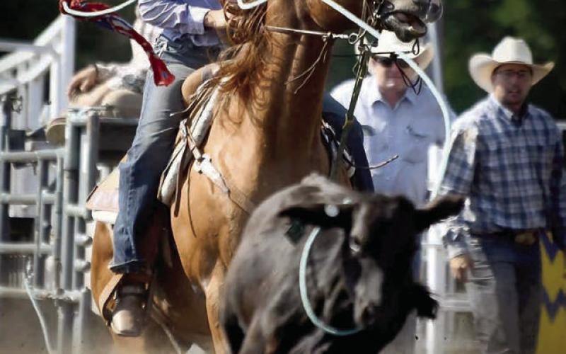 Local entries dominate leaderboard at Isabel Rodeo