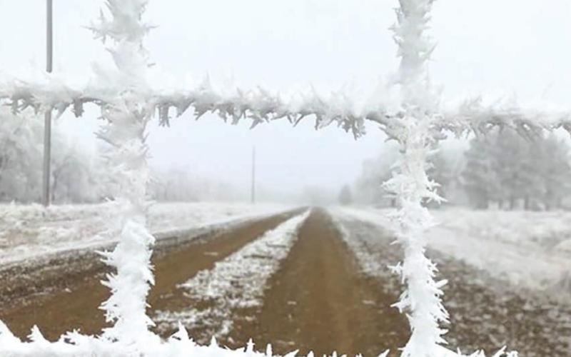 Dense fog and heavy frost