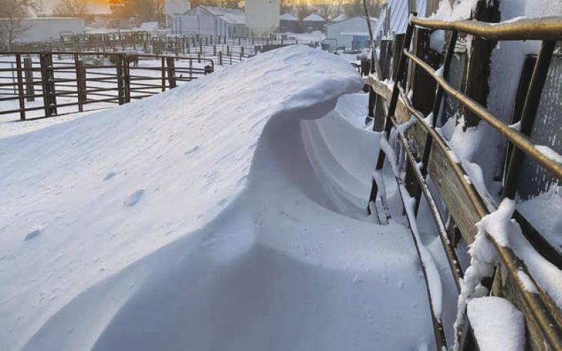 The sun sets on a 6-foot wave snowdrift in a corral at the Jason and Megan Hulm ranch near Glad Valley on Friday after a three-day winter storm brought freezing rain followed by heavy snow and high winds that forced school and business closures, event cancellations, and no travel advisories. Snow depths ranging from 16 inches to 24 inches were reported across the region with wind speeds as high as 60 miles an hour in Dewey County. Photo courtesy of Megan Hulm