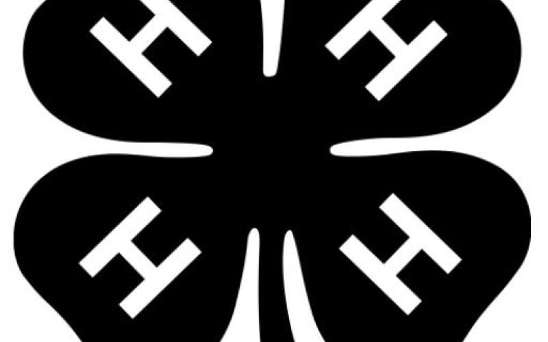 Alt Text for Image