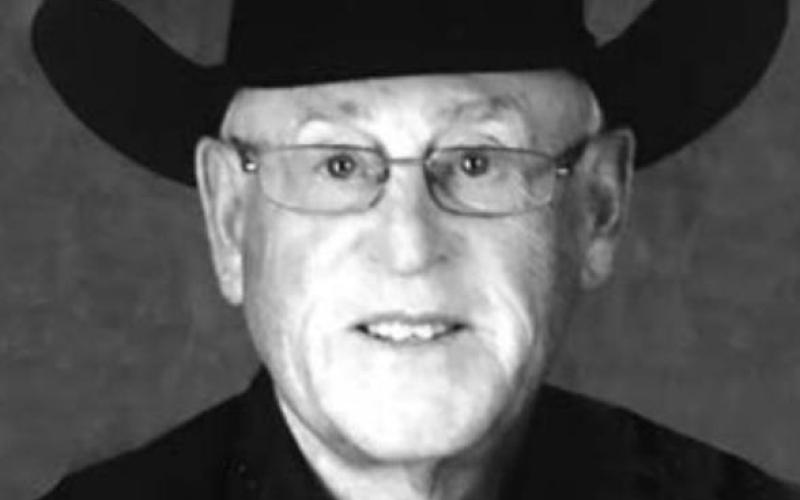 Dave Lensegrav