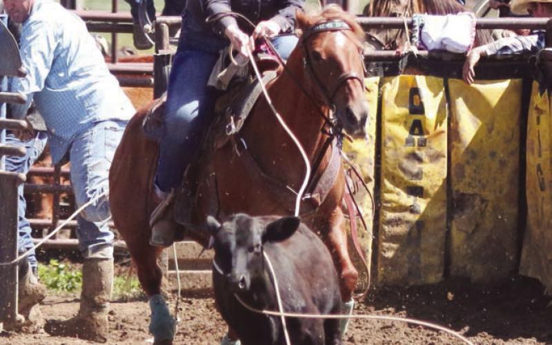 Courtney Dahlgren of Timber Lake misses her throw during the Ladies Breakaway Roping event at the 62nd annual Dupree Pioneer Days Rodeo on Sunday, June 25. Photo by Jon Flatland