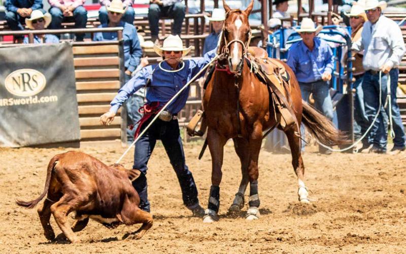 Rope Roghair of Isabel keeps his eye on the prize while competing in tie-down roping at the Northwest Regional Rodeo June 9-11 in Dupree. Roghair qualified for the State HS Finals Rodeo in Ft. Pierre this week in tie-down roping, team roping and saddle bronc riding. Photo by Dave Clausen