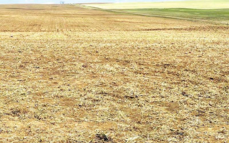 Hail storm damage called worst in a lifetime