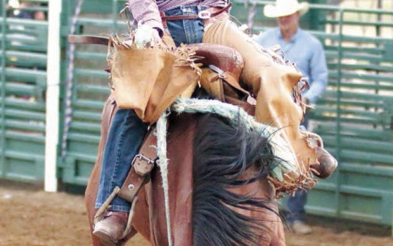 Teigan Clark of Meadow was crowned the 2022 Isabel Rodeo saddle bronc riding champion after a thrilling 79 point ride during Saturday night’s session. Photo by Jon Flatland