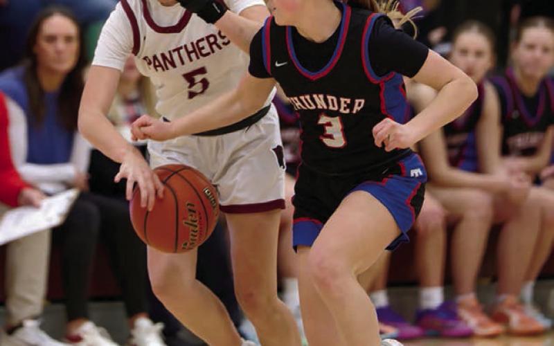 Josie Boldt (5) knocks the ball away from Carleigh Dosch (3) of North Central on Saturday, Jan. 31, when the Lady Panthers hosted the Thunder. Topic Photo/Marie DuPreez