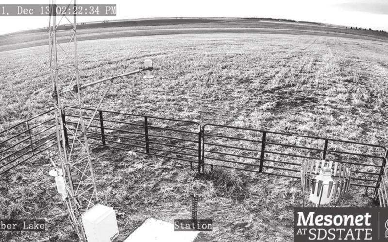 Live images from Timber Lake are now available on the new Mesonet live cam, which records data and images from the Timber Lake City Airport 24-7. Similar Mesonet stations are at 40 locations throughout the state, including Eagle Butte, McIntosh, McLaughlin, Lemmon, Bison, Gettysburg, Union Center and Bowdle.
