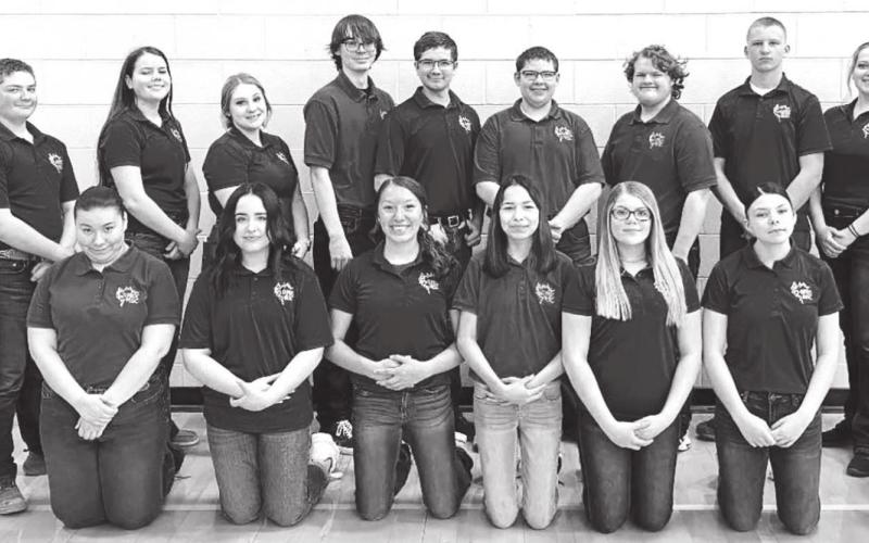 DHS Choir earns superior