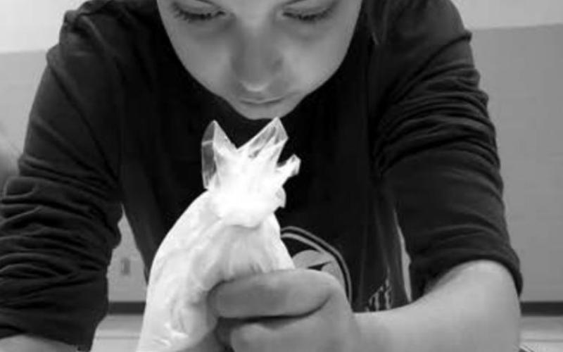 Cupcakes and fossils: Always something new to learn