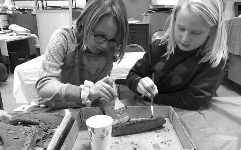 Cupcakes and fossils: Always something new to learn