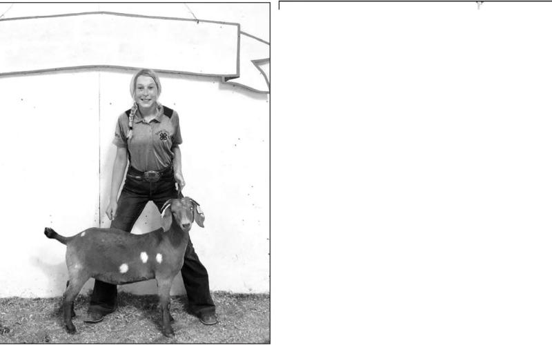 Talley Locken and her goats earned champion and reserve champion honors at the Corson County Fair.