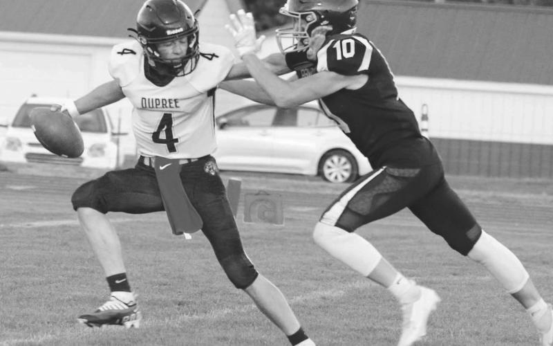 Panthers in Action ...