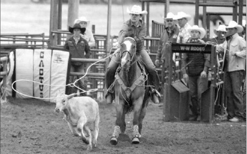 Bailey Donner makes a perfect throw during ladies breakaway roping at the Isabel Rodeo. The Morristown cowgirl finished in a tie for second place in the event with a 3.0 second run to collect a $992 check. Donner is currently fourth in the SDRA’s season ladies breakaway standings. Photo by Jon Flatland
