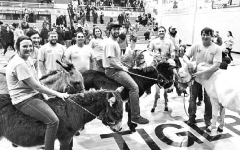 Donkey ball