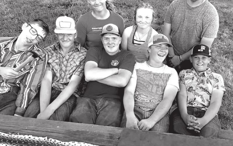 Brady’s bunch of snake hunters