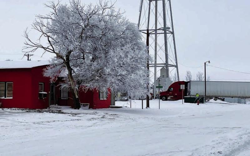 The first fresh white snowfall is often welcome as it settles the dust of a dry summer and fall. The wind is not so welcome. Photo by Kathy Nelson